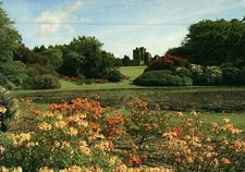 Castle Kennedy Gardens