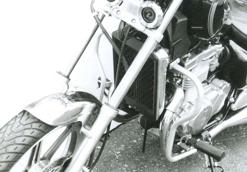 Kawasaki en500 engine guard - en500,