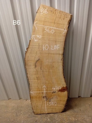 Spalted beech live - spalted,