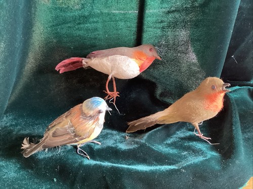 Birds christmas tree - -,