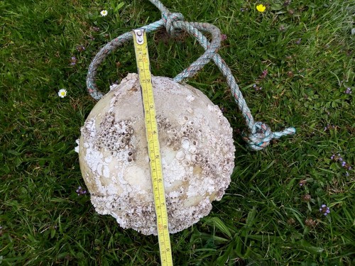 Lobster crab pot - lobster, buoy