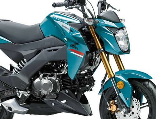 Kawasaki z125 pro br125jmfnn - z125,