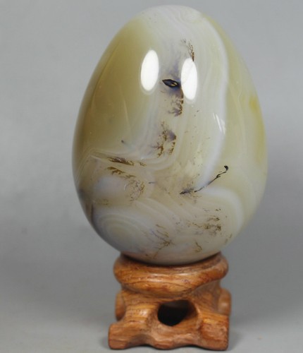 Natural aquatic plants agate - natural,