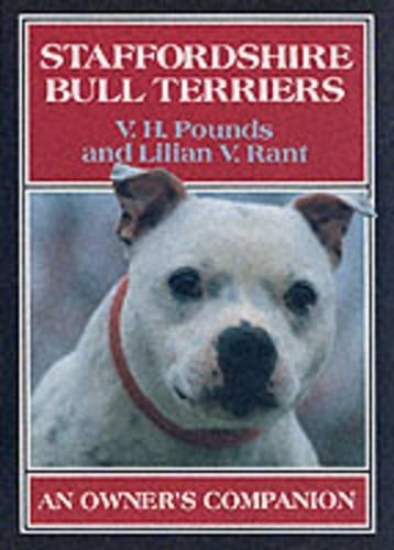 Staffordshire bull terriers - staffordshire,