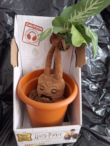 Harry potter mandrake - harry,