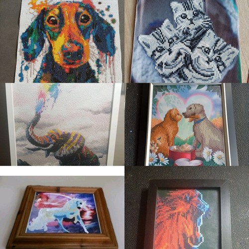Animals,cats,dogs,elephants,ho