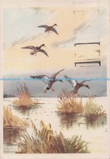 D275280 The First to Come In Royle Publications Ltd Roland Green 1958