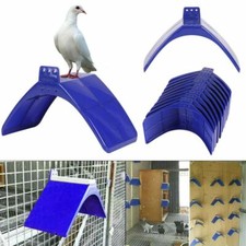30x birds dove - birds, pigeon