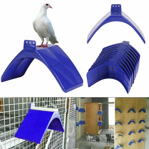 30x birds dove - 10/20/30x,