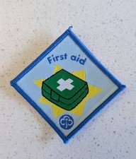 New Brownies Interest Badge