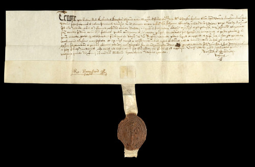 Adultery decree vellum - decree, on