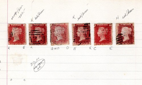 T11 79990 group - (6), samples