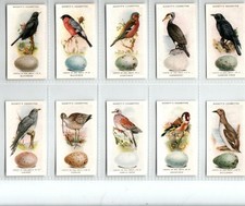 Hignett: British Birds & Their