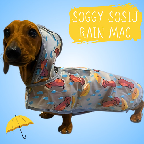 Soggy sausage dachshund - soggy,