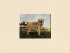 BRUSSELS GRIFFON LOVELY LITTLE BOOKPLATE DOG PRINT READY MOUNTED
