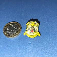CASTLEFORD TIGERS   RLFC PIN