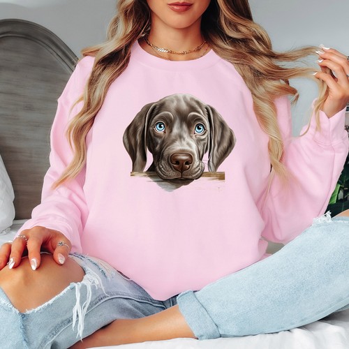 Weimaraner puppy dog animal - weimaraner,