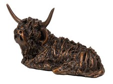 Highland Cow Looking Up -