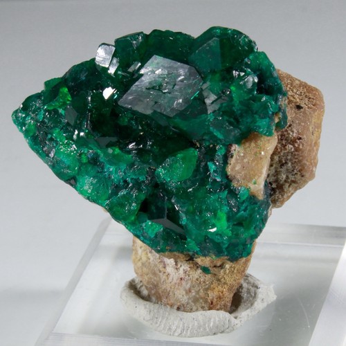 Aesthetic dioptase cluster - dioptase,