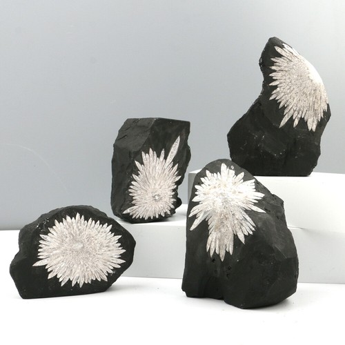 Chrysanthemum crystal stone - chrysanthemum,