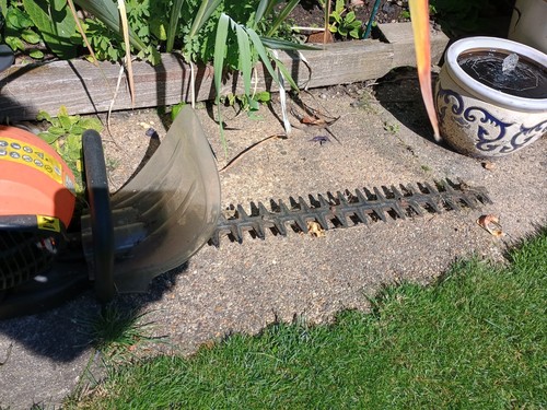 Hedge trimmer - , (collection)