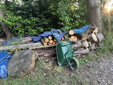 Firewood Logs Wood Unseasoned