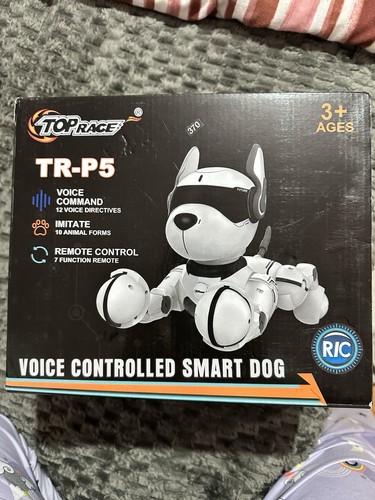 Top race voice - top, p5
