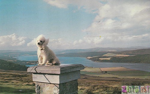 Struie hill dornoch firth - struie, hill,