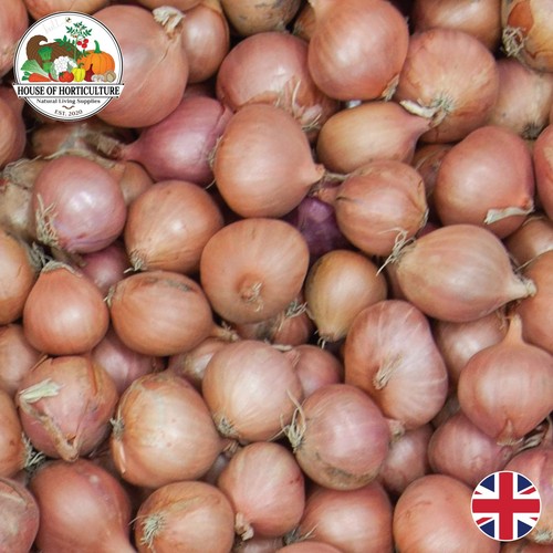 Fresh british round - fresh,