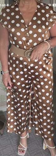 Brown polka dot - polka,