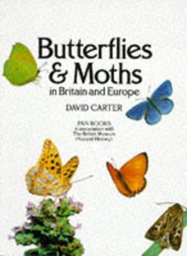Butterflies and moths - butterflies,