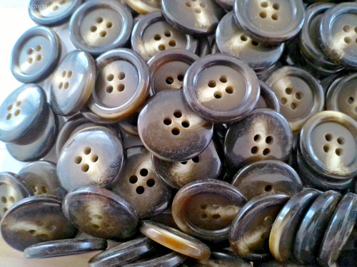 20mm brown tortoise - 20mm, shell