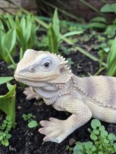 Bearded Dragon Garden Ornament