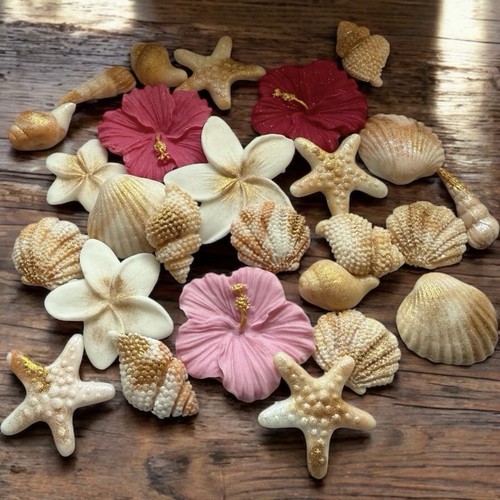 Edible sea shells tropical - edible,