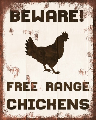 Beware free range chickens - beware,