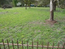 Photo 6x4 Little wagon caravan