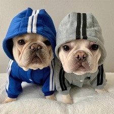 Adidog Dog Tracksuit Pet