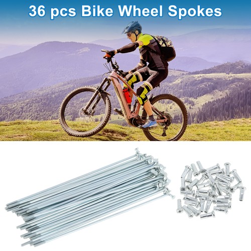 Set 14g bicycle spokes - 36,