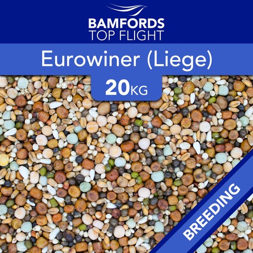 Bamfords euro winner - bamfords,