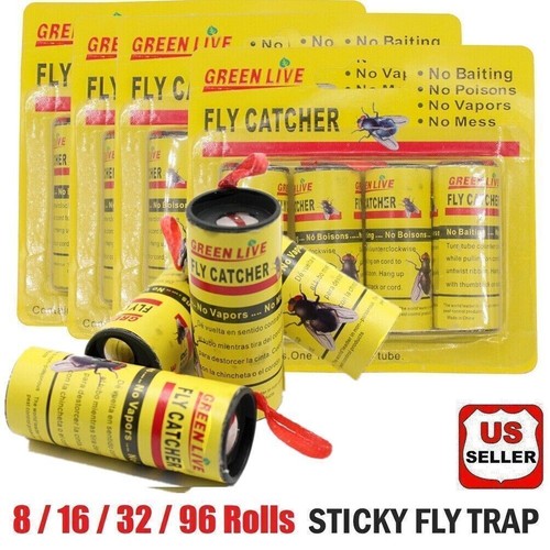 Rolls insect bug fly - 8/16,