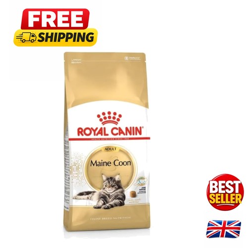 400g maine coon cat food - cat,