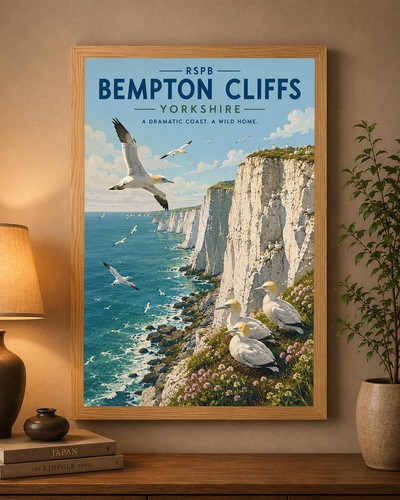 Bempton cliffs yorkshire - bempton,
