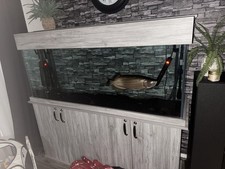 5ft Fish Tank Grey Wood  Tropical Fish Large