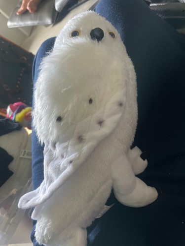Harry potter owl teddy - teddy, new