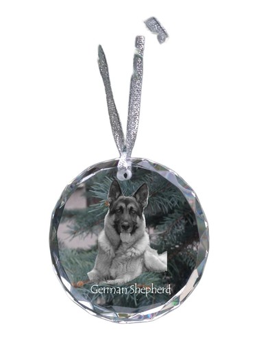 German shepherd dog alsatian - german,