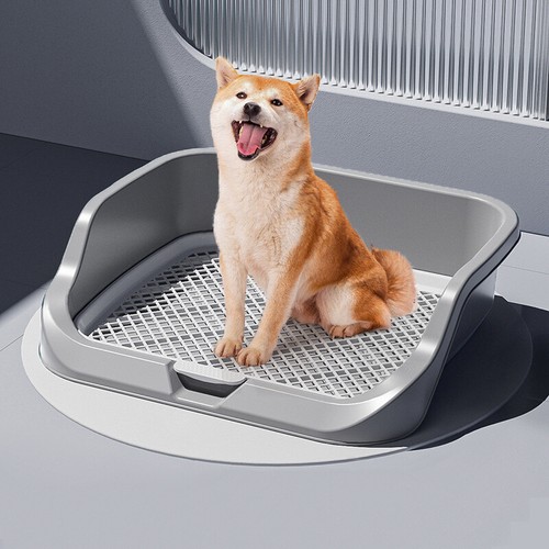 Large open dog - dog, litter