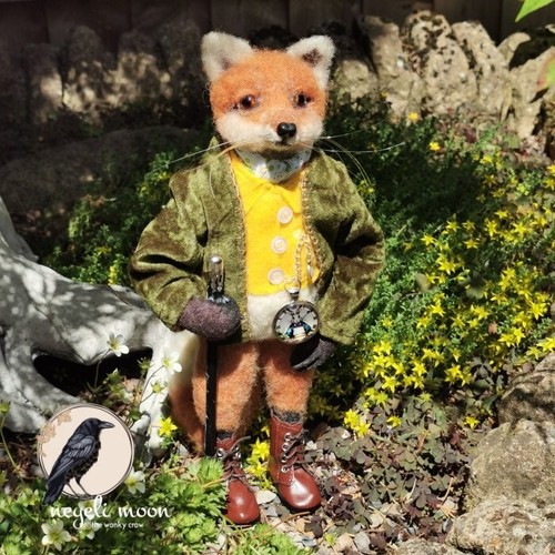 Professor fox character - fox,