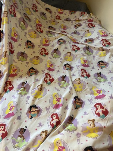 Disney princesses twin - disney,