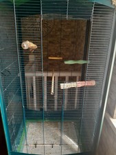 Large bird cage, green, large, used and the brand is ferplast