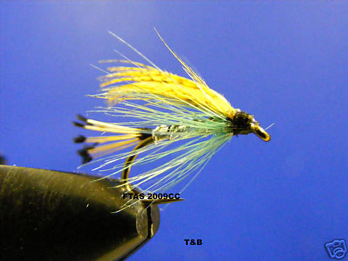 Teal blue silver fishing - blue,